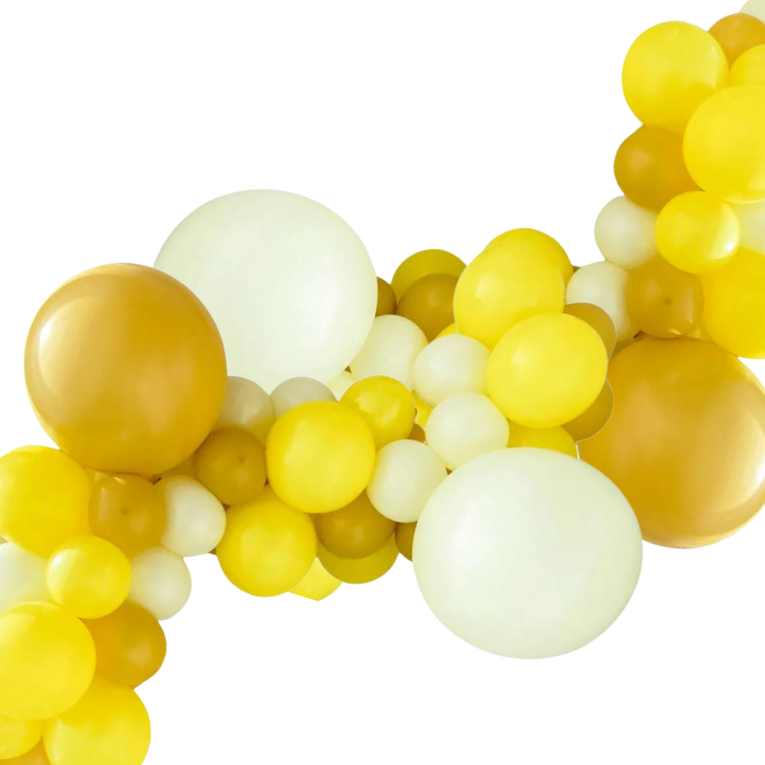 LEMON CHEESECAKE | Balloon Garland DIY Pack