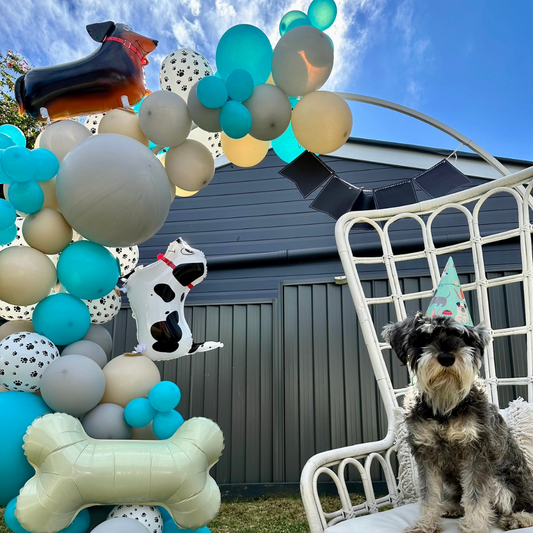 PUPPY PAWTY! | Balloon Garland DIY Pack